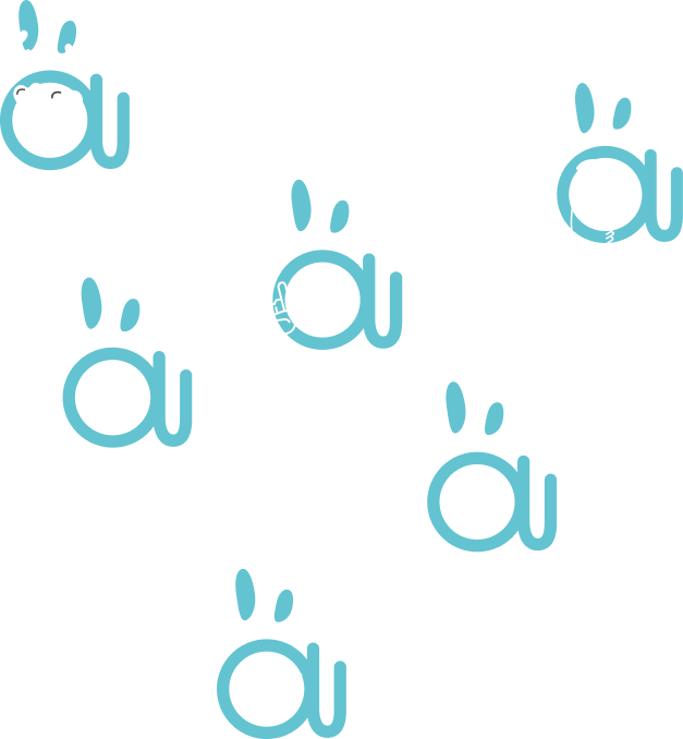 evenement-reseau